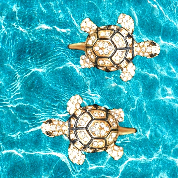 Beautiful Golden Tortoise - Picture 4 of 4